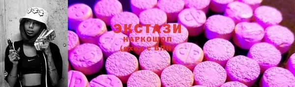 гидра Инсар