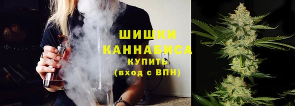 гидра Инсар