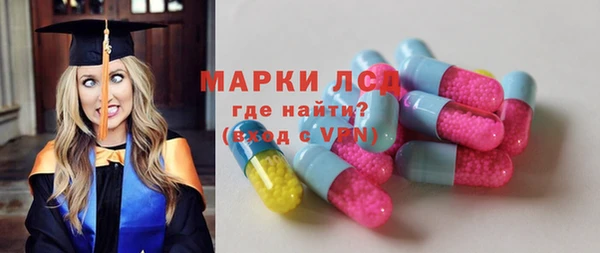 ПСИЛОЦИБИНОВЫЕ ГРИБЫ Каменка