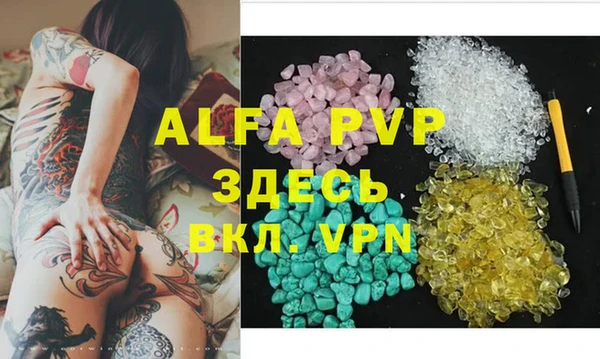 гидра Инсар