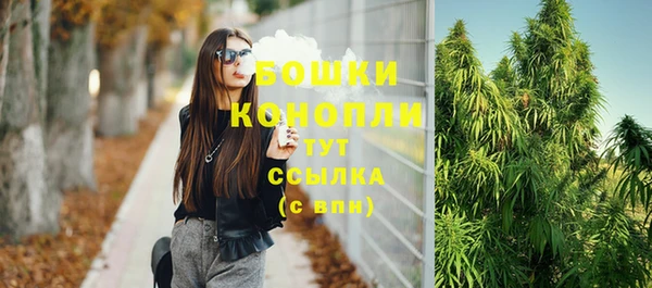 ПСИЛОЦИБИНОВЫЕ ГРИБЫ Каменка