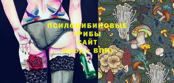 гидра Инсар
