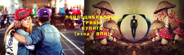 гашик Каменск-Шахтинский
